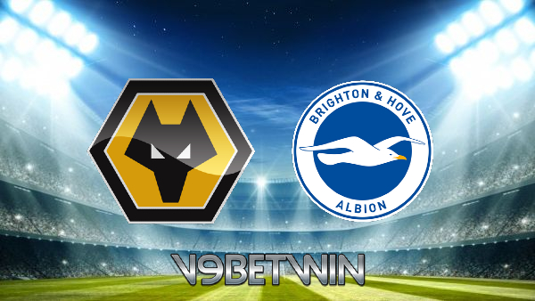 Soi kèo Wolves vs Brighton – 22h00 – 05/11/2022