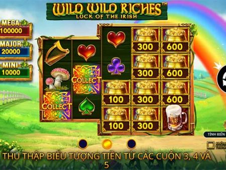 Hướng dẫn cách chơi slot Sự giàu có hoang dã tại V9bet